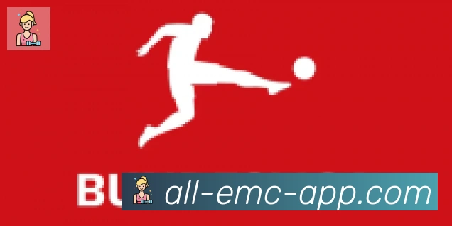 EMC易倍体育合作伙伴